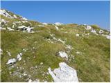 Planina Kuk - Zeleni vrh